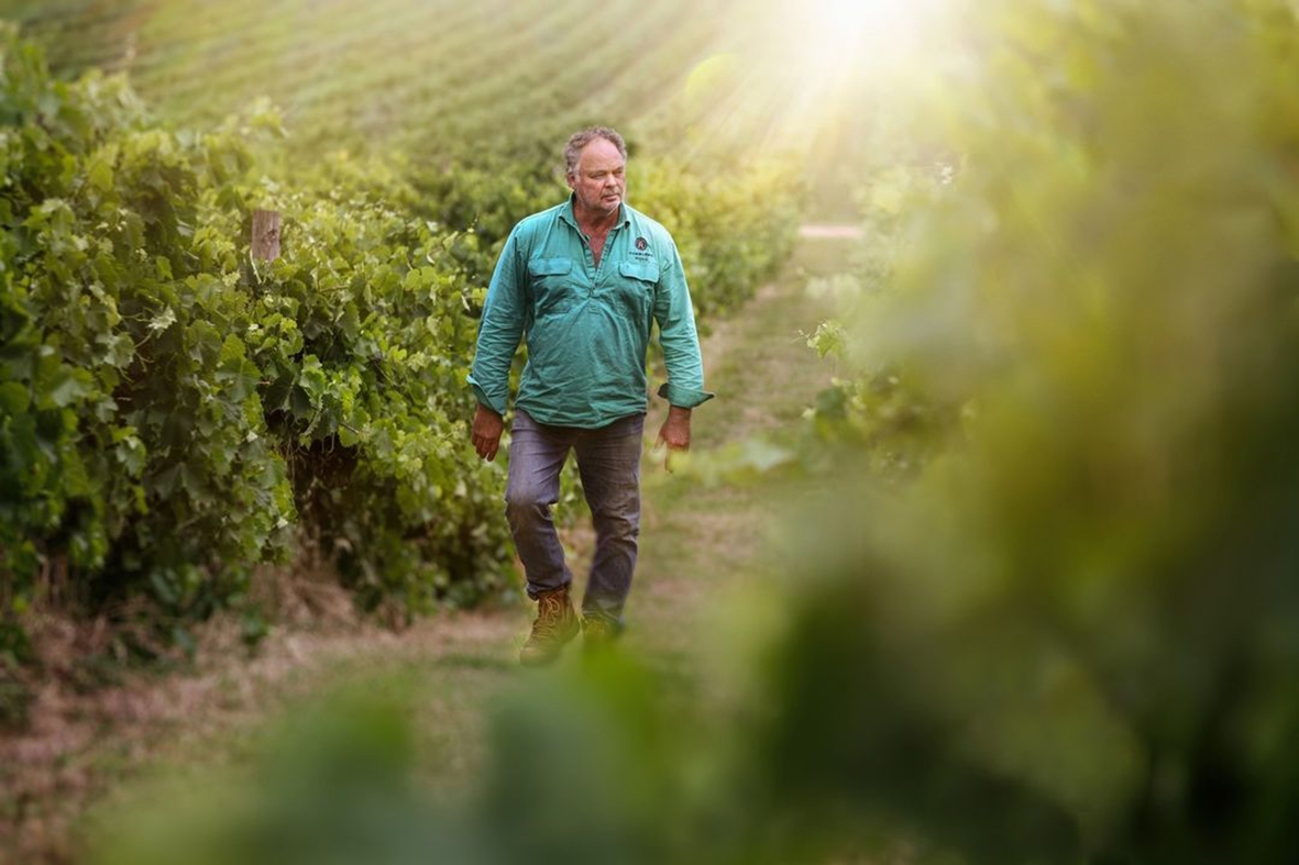 Tumblong Hills Wines, Track Winding Back Gundagai Winery