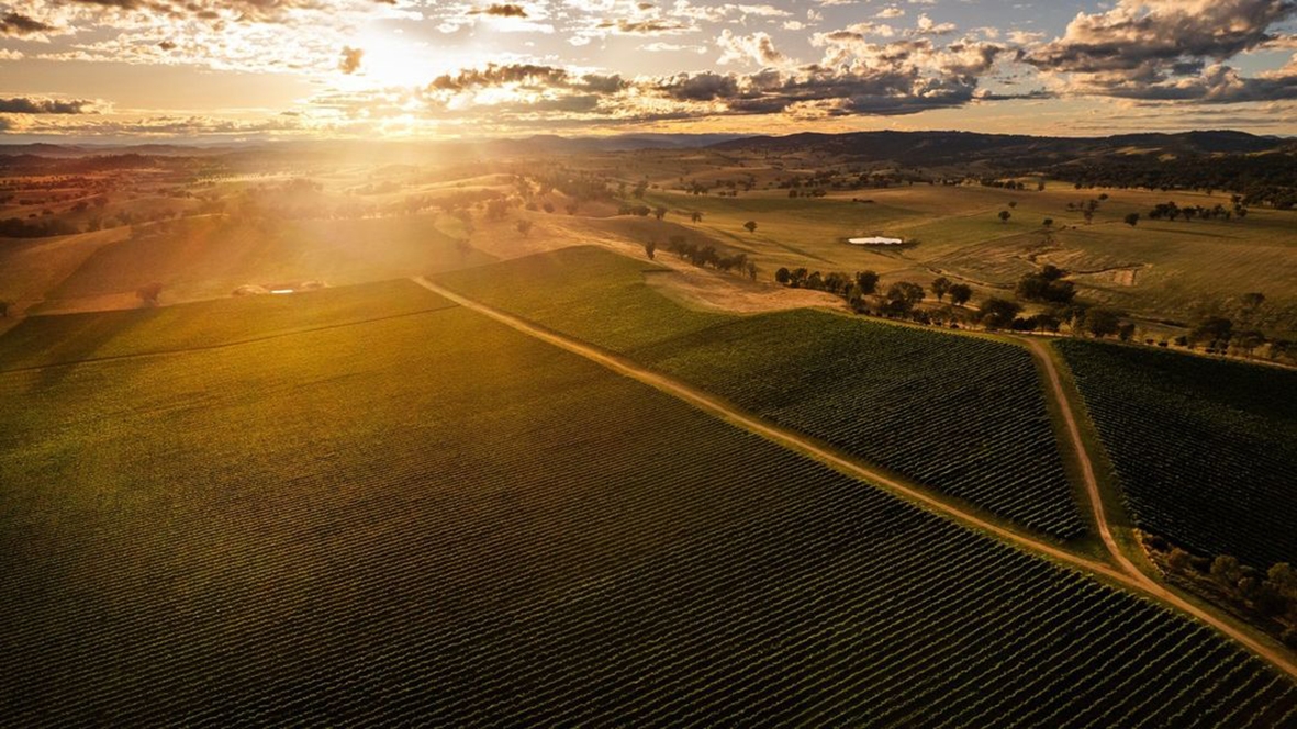 Tumblong Hills Wines, Track Winding Back Gundagai Winery Aerial view